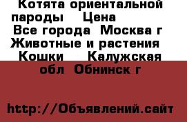 Котята ориентальной пароды  › Цена ­ 12 000 - Все города, Москва г. Животные и растения » Кошки   . Калужская обл.,Обнинск г.